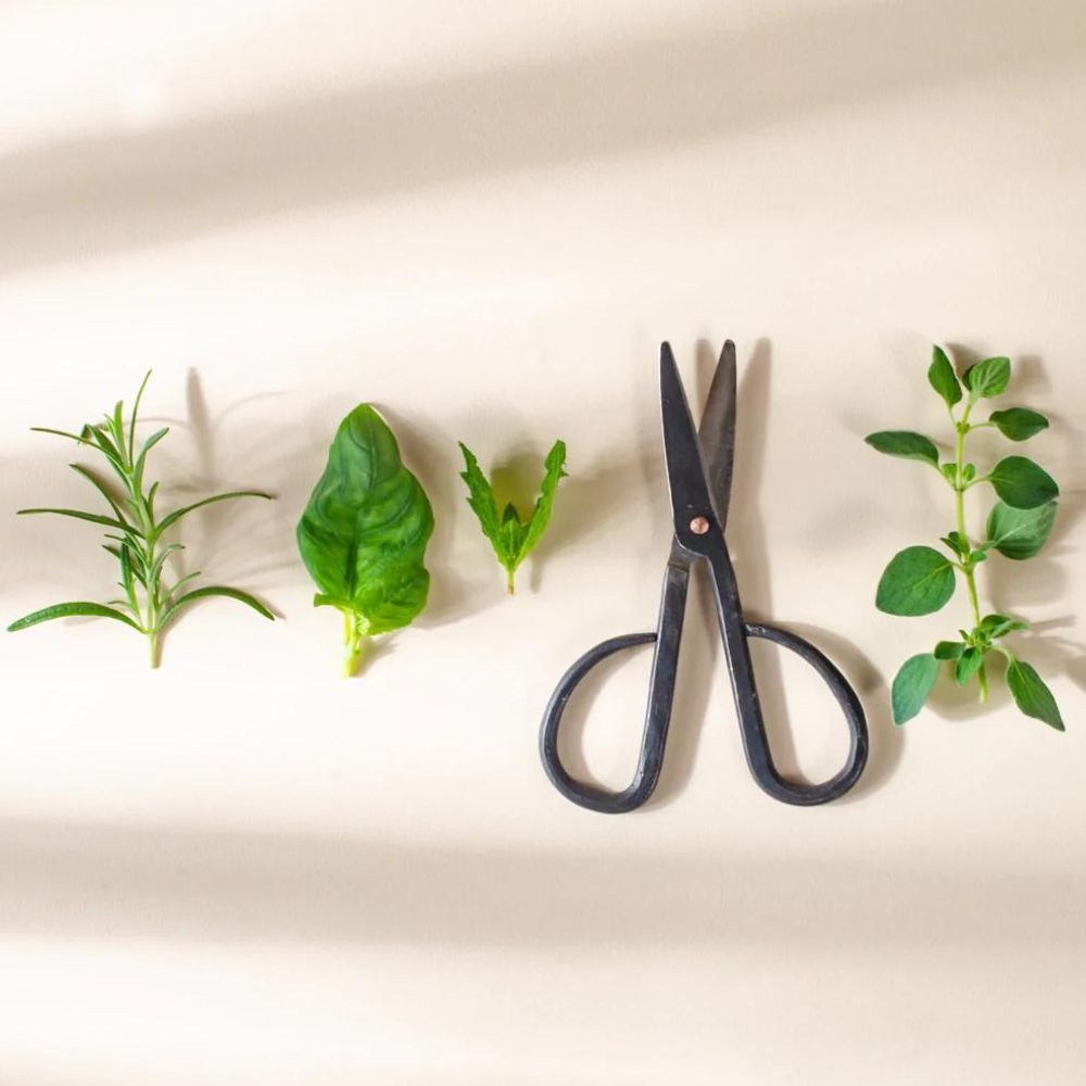 Small Handmade Vintage Craft Scissors