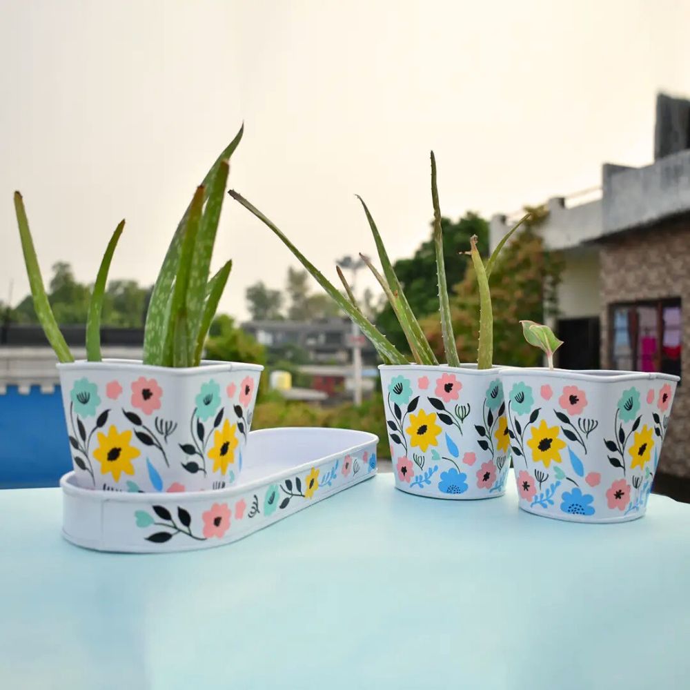 In Bloom 3-Piece Metal Pot Planter with Tray
