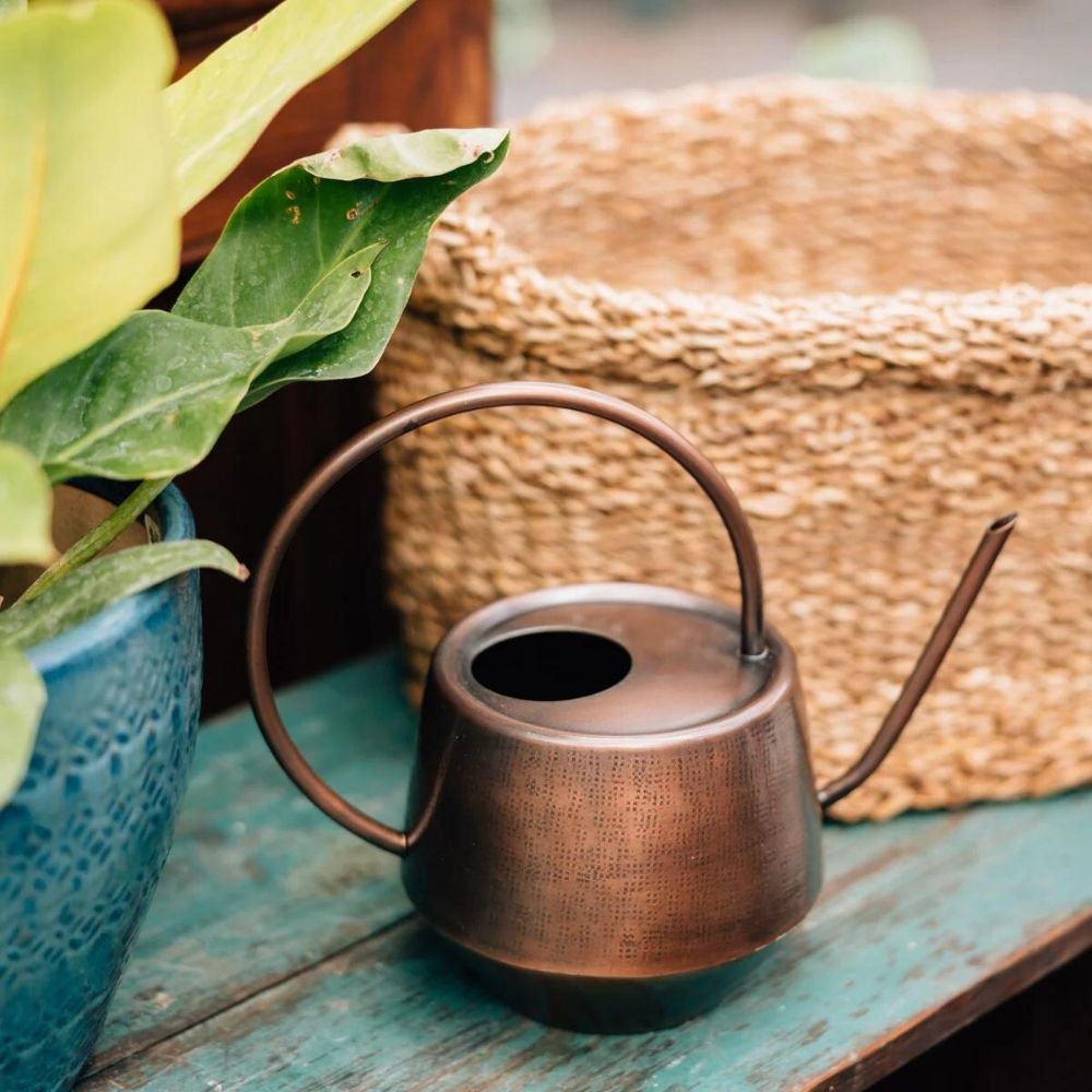 Iron Watering Can in Antique Copper Finish