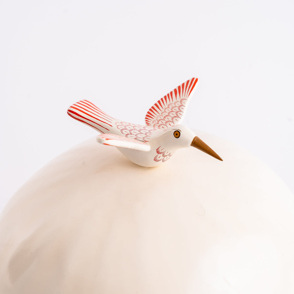 Hummingbird Guaje