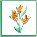 Bird of Paradise Quilled Greeting Card