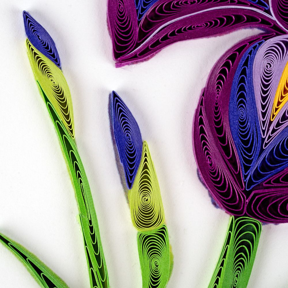 Iris Flower Quilled Greeting Card