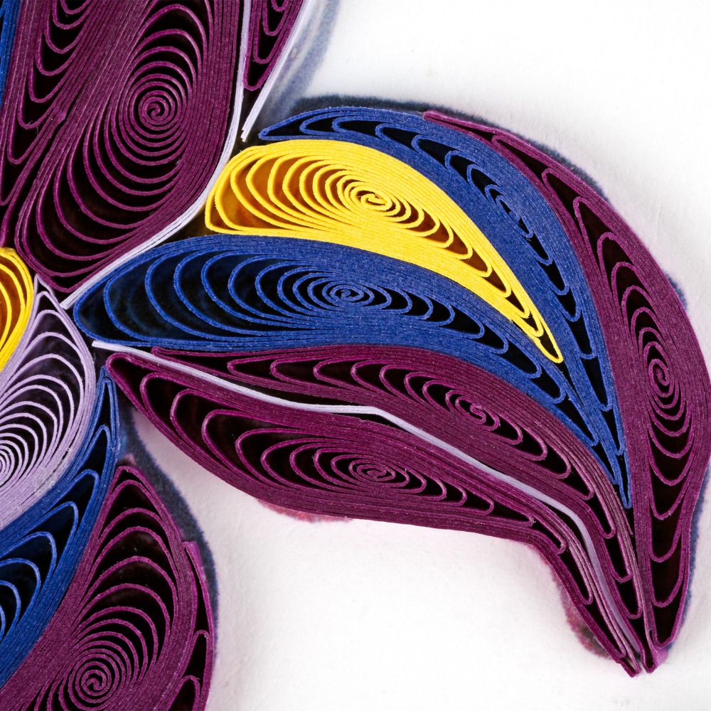 Iris Flower Quilled Greeting Card