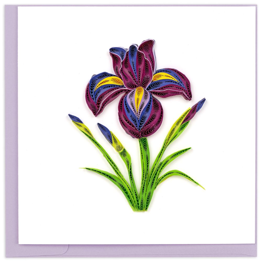 Iris Flower Quilled Greeting Card