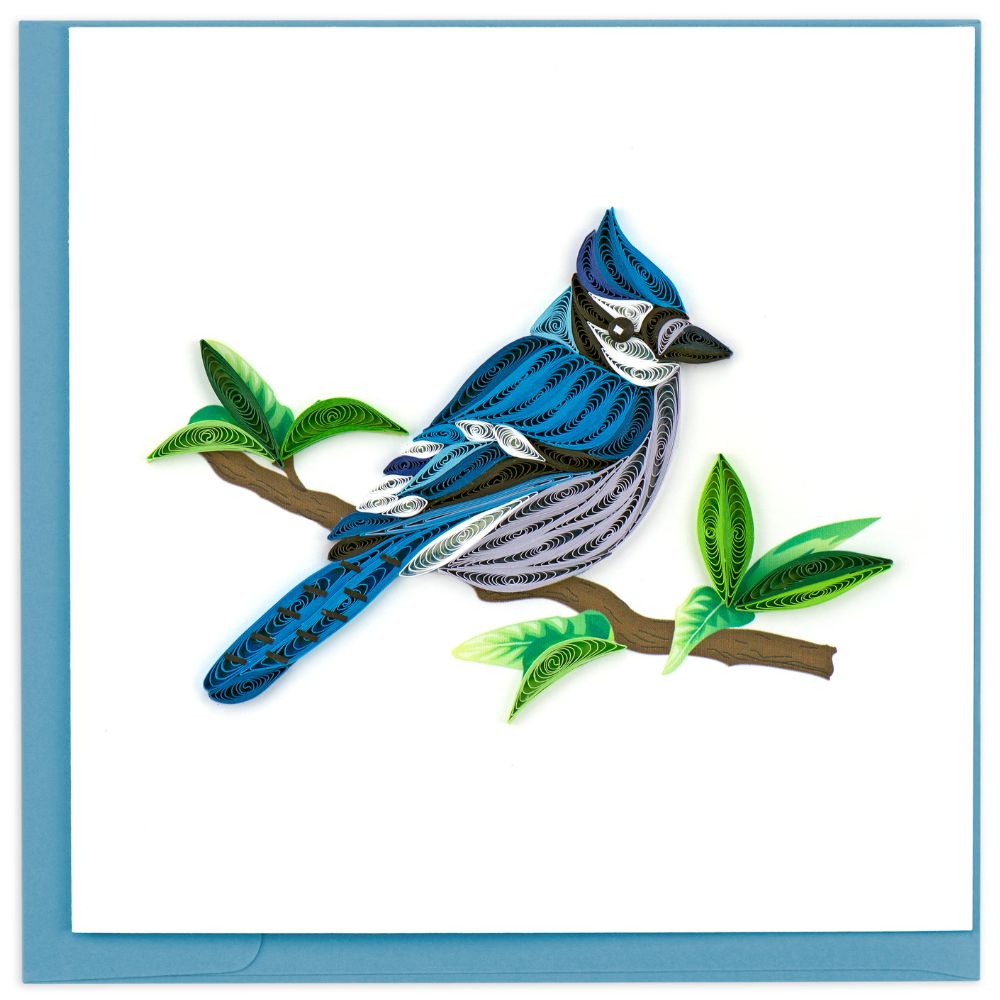 Blue Jay Quilled Greeting Card