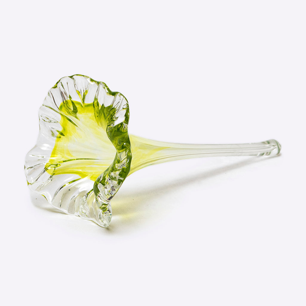 Fioré Glass Flowers