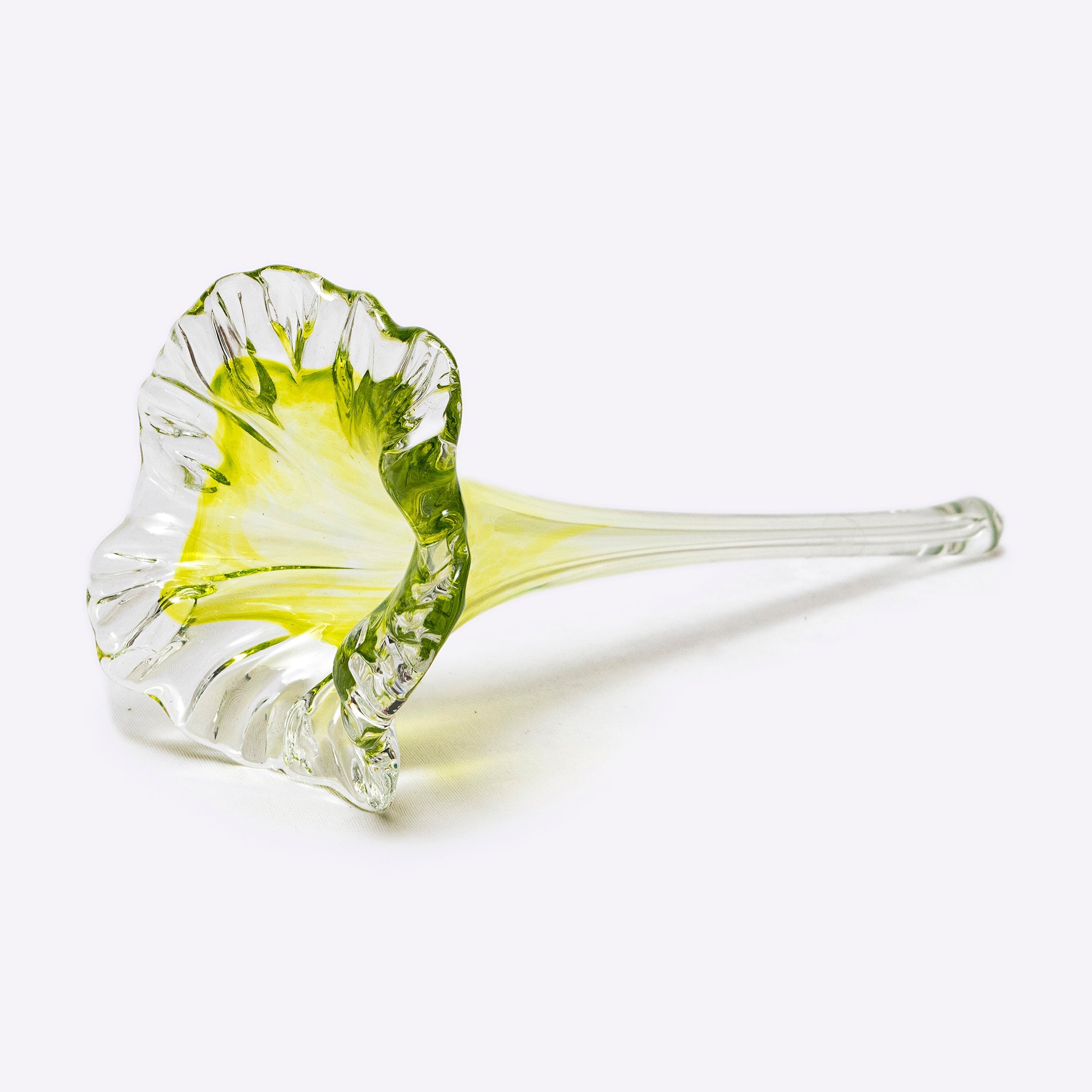 Fioré Glass Flowers